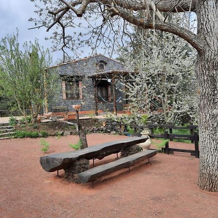 Casa Etna Villa Bronte Bagian luar foto