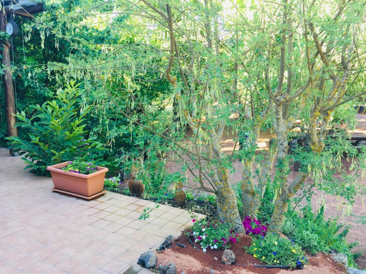 Casa Etna Villa Bronte Bagian luar foto