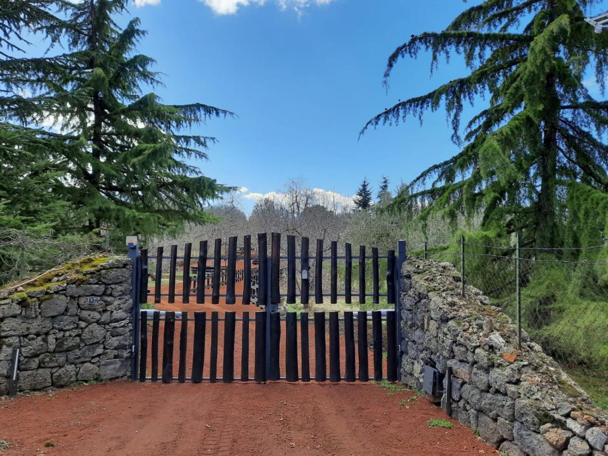 Casa Etna Villa Bronte Bagian luar foto