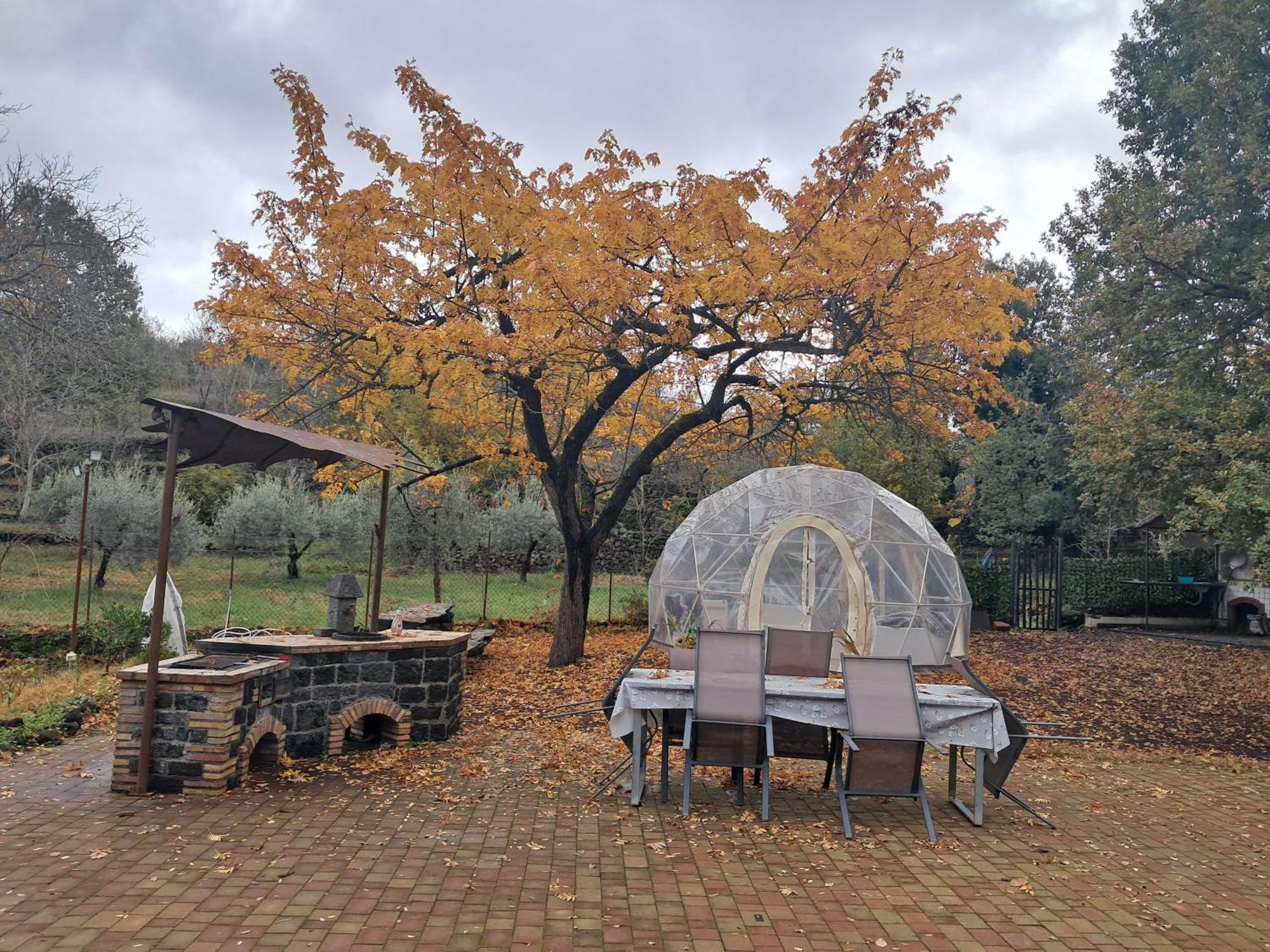 Casa Etna Villa Bronte Bagian luar foto
