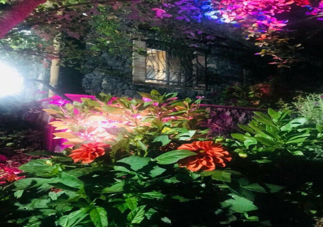Casa Etna Villa Bronte Bagian luar foto